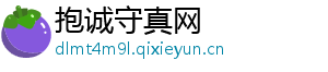 抱诚守真网